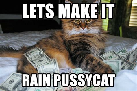 Make It Rain Meme Discover more interesting Animal, Animals, Cash, Cat ...