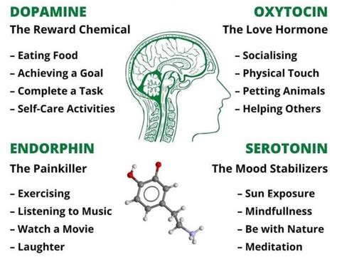 Dopamine, oxytocin, endorphin, and serotonin | Endorphins quotes ...