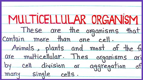 What is Multicellular organisms \ Defined Multicellular Organisms with ...