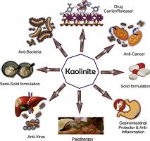 Kaolinite in pharmaceutics and biomedicine - pharma excipients