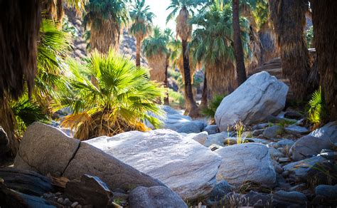 La Quinta | Desert Hiking