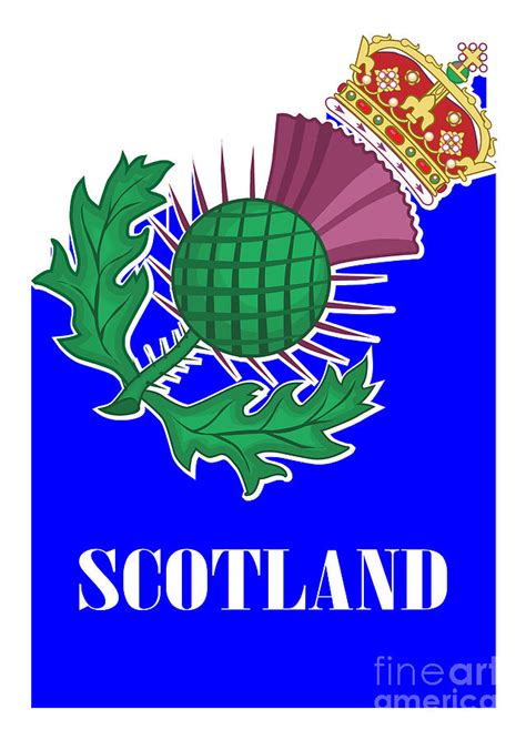 Thistle Symbol Of Scotland Digital Art by Bigalbaloo Stock - Pixels