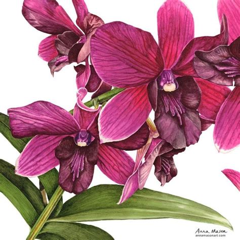 Art - Anna Mason, Artist | Floral watercolor paintings, Flower painting ...