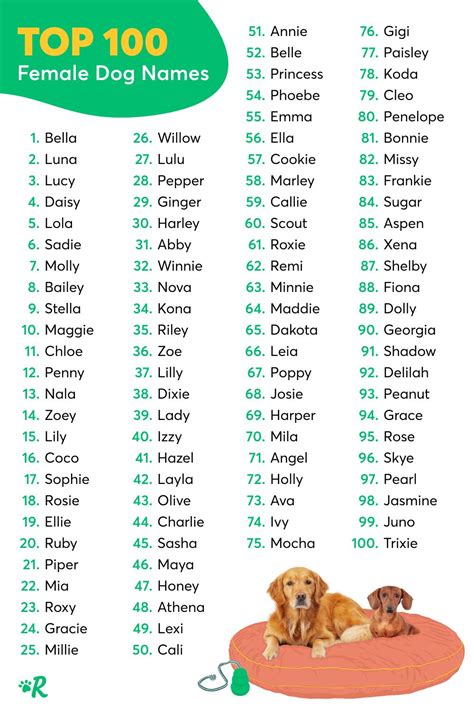 Top 100 Most Popular Dog Names in 2021 | Rover.com | Dog names, Cute ...