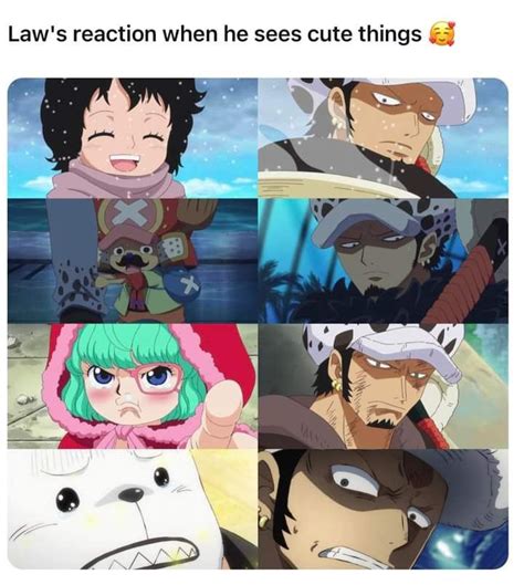 Law's Reaction to Cute Things | Anime Characters