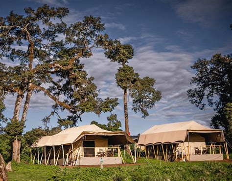 Ngorongoro Crater Conservation Area: Travel Guide & Safaris