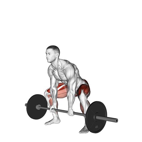 Sumo Deadlift: Benefits, Muscles Used, and More - Inspire US