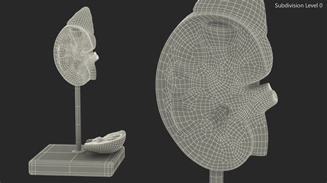 Kidney Anatomical Model 3D Model $49 - .3ds .blend .c4d .fbx .max .ma ...