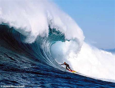 Mark Foo Biography and Photos | SURFLINE.COM