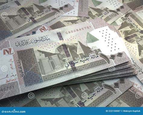 Sudanese Money. Sudanese Pound Banknotes. 100 SDG Pounds Bills Royalty ...