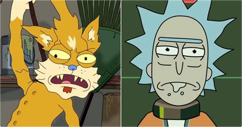 Which Rick And Morty Character Are You Based On Your Zodiac Sign?