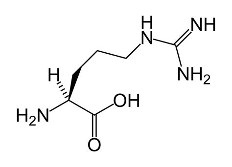 8 Proven Benefits of L-arginine