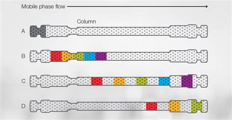 How HPLC Columns Work | Thermo Fisher Scientific - US