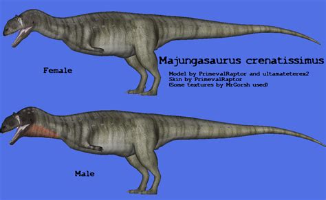 Majungasaurus玛君龙属 Majungasaurus crenatissimus by PrimevalRaptor ...