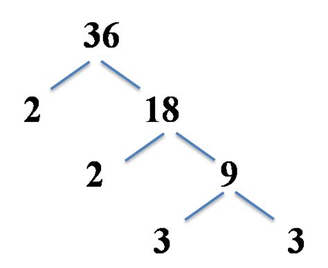 Factor Tree Prime Factorization