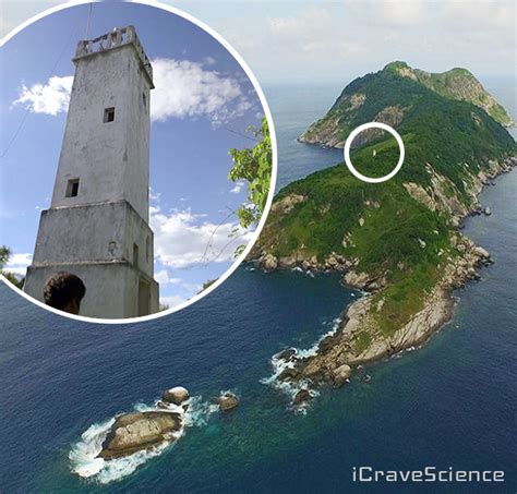 Snake Island - World's Deadliest Island - iCraveScience