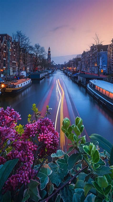 Amsterdam, boats, capital, city, flowers, holland, nature, netherland ...