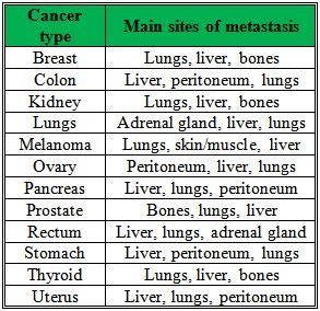 Image result for common sites of metastasis | Oncology nursing, Medical ...