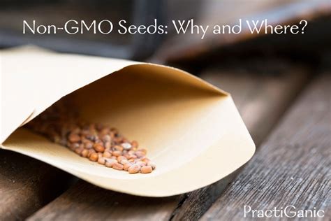 Non-GMO Seeds: Why and Where? | PractiGanic: Vegetarian Recipes and ...