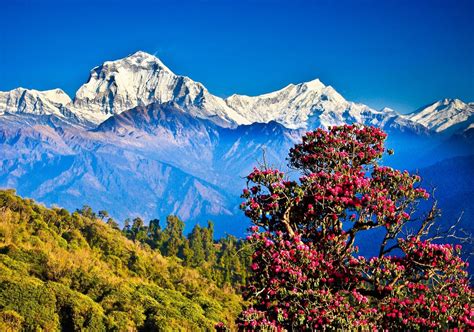 Himalayas Wallpapers - Top Free Himalayas Backgrounds - WallpaperAccess