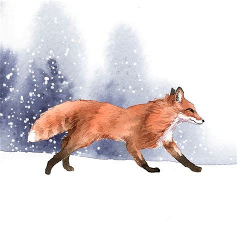 Hand-drawn fox in the snow watercolor style - Download Free Vectors ...