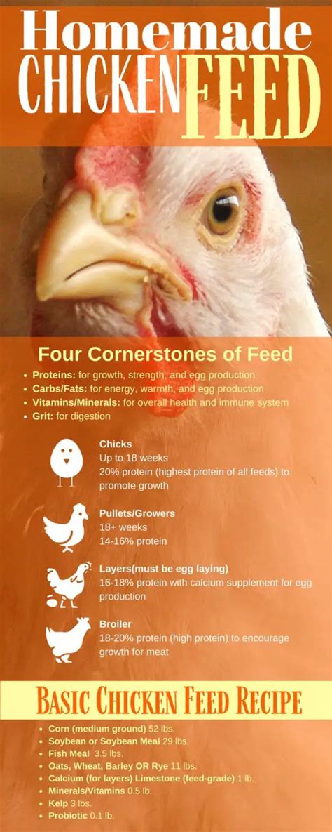 Homemade Chicken Feed Mix – Know What Your Flock Is Eating