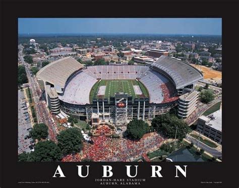 War Eagle | Auburn university football, Auburn university, Auburn