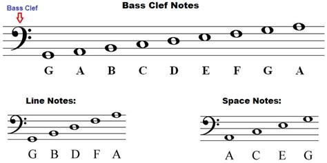 Bass clef notes, naming lines and spaces, how to draw | Bass clef notes ...