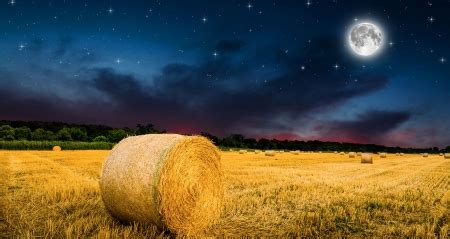 Harvest Moon - Fields & Nature Background Wallpapers on Desktop Nexus ...