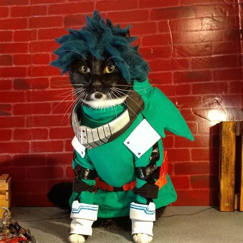 Pin by Vanille Vanille on Boku no Hero Academia | Cat cosplay, Anime ...