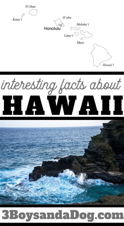 Interesting Facts about Hawaii - 3 Boys and a Dog