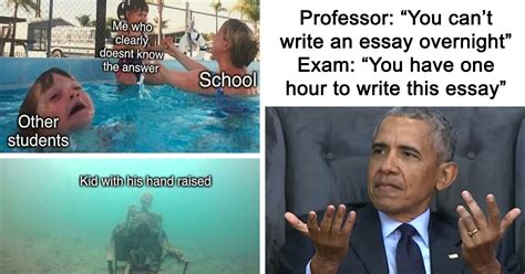 46 Funny School Memes That Perfectly Capture Classroom Struggles (New ...