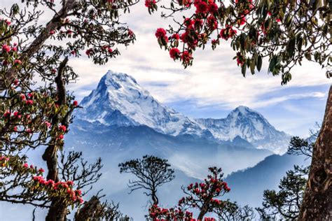 330+ Mountain Village Nepal Stock Photos, Pictures & Royalty-Free ...