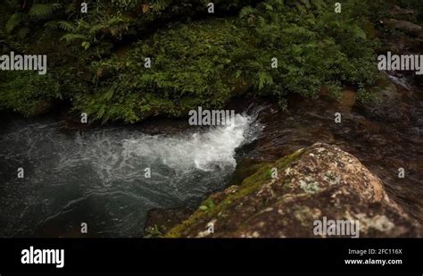 Waterfalls in Cuetzalan Mexico, Rainforest setting, can represent ...