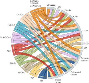 The genetics of human ageing | Nature Reviews Genetics