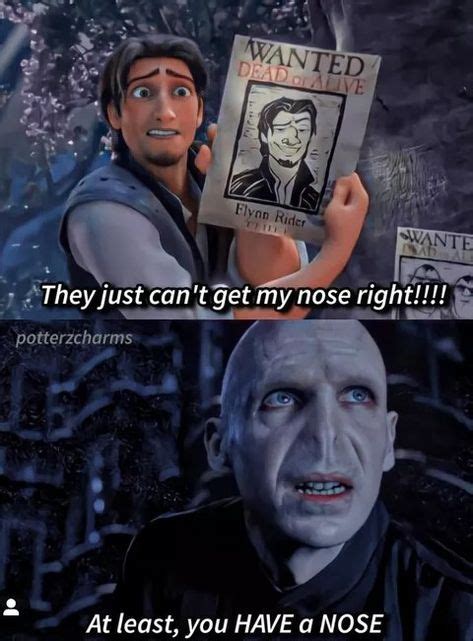 Harry Potter Funny Pictures, Harry Potter Jokes, Voldemort Nose Jokes ...