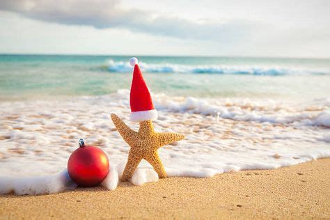 200 Christmas at the Beach ideas | christmas, beach, beach christmas