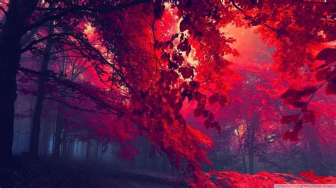 Red Scenery Wallpapers - Top Free Red Scenery Backgrounds - WallpaperAccess