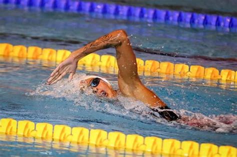 7 Tips for Improving Your Freestyle Stroke