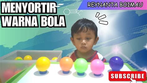 Menyortir Warna Bola #2 || Game Edukasi Anak || Ide Bermain Anak - YouTube