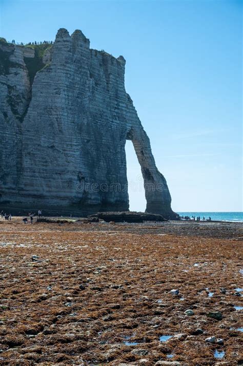 Low Tide Period and View on Ocean Bed and Chalk Cliffs of Porte D`Aval ...