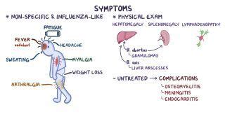 Coccobacilli: What Are They, Treatment, and More | Osmosis