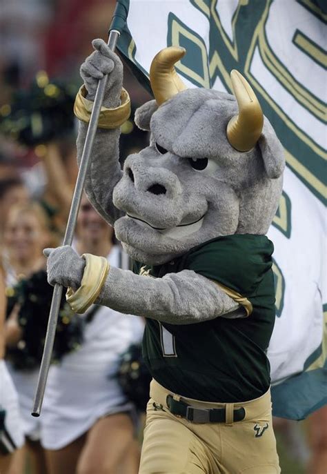 University of South Florida Bulls mascot Rocky the Bull leads team on ...