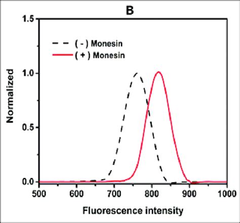 Typical histograms of fluorescence intensity of acridine orange ...