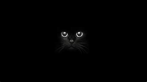 black cat #cat #1080P #wallpaper #hdwallpaper #desktop | Cat dark ...