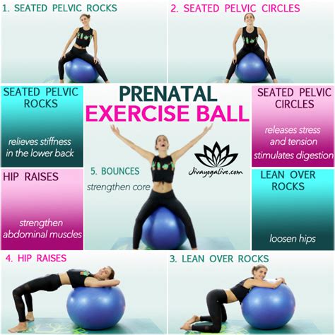 Pelvic Floor Exercises Pregnancy Ball | Viewfloor.co