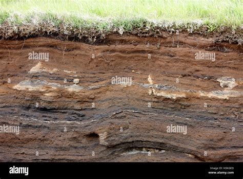 soil strata cross section including layers of volcanic ash Iceland ...