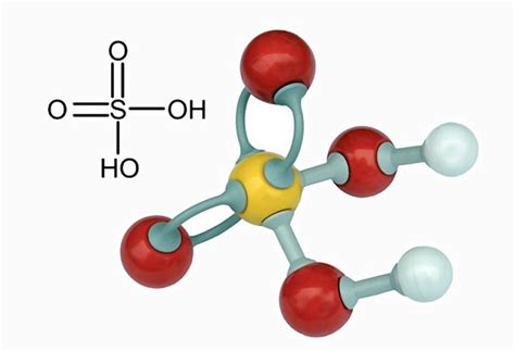 Sulfuric Acid - The Definitive Guide | Biology Dictionary