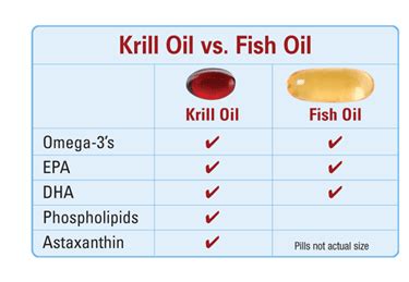 Best Krill Oil Supplements - Top 3