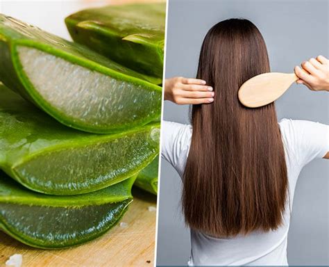 Easy Ways To Use Aloe Vera For Quick Hair Growth | HerZindagi